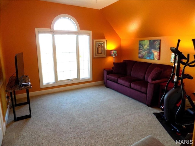 13185 Jenna Ln, Rolla, MO 65401 - living room with carpet, healthy amount of natural light, baseboards, and lofted ceiling