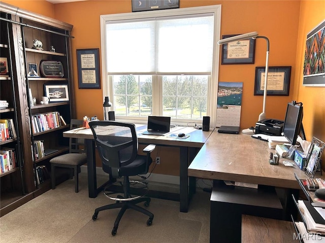 13185 Jenna Ln, Rolla, MO 65401 - view of carpeted office