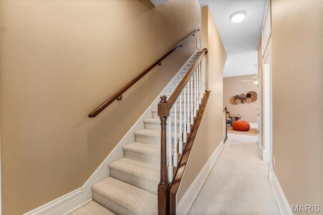 1931 Arsenal St, Saint Louis, MO 63118 - photo 31