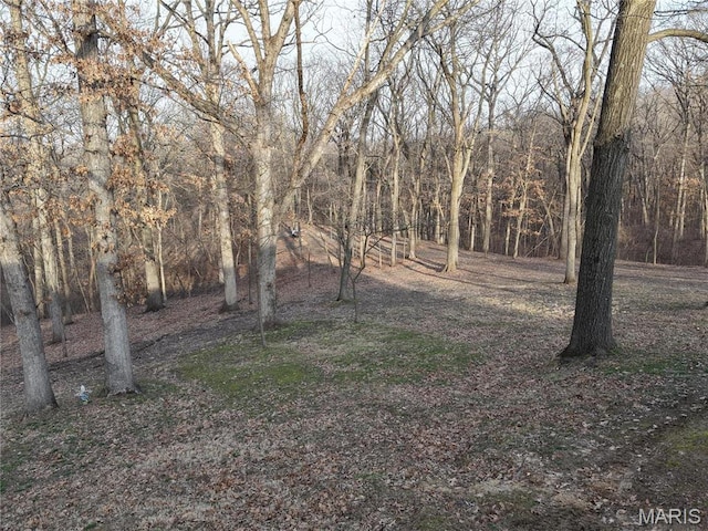 62812 Brown Ests, Hannibal, MO 63401 - view of yard featuring a forest view