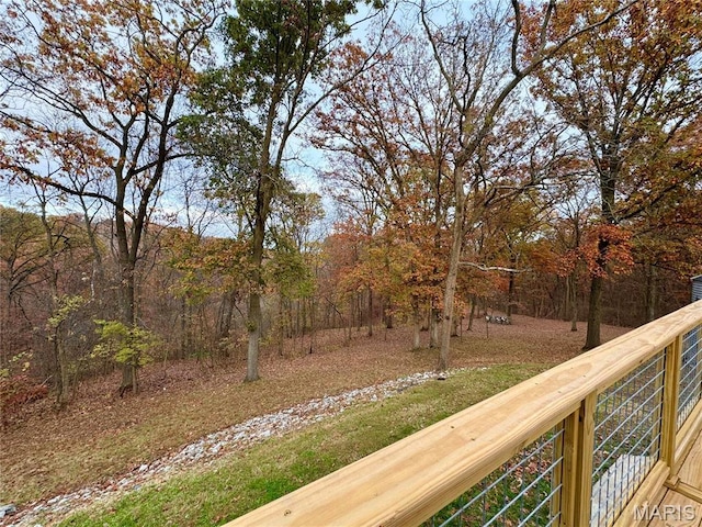 62812 Brown Ests, Hannibal, MO 63401 - view of yard
