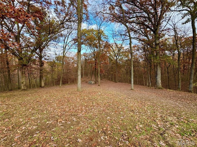 62812 Brown Ests, Hannibal, MO 63401 - view of yard