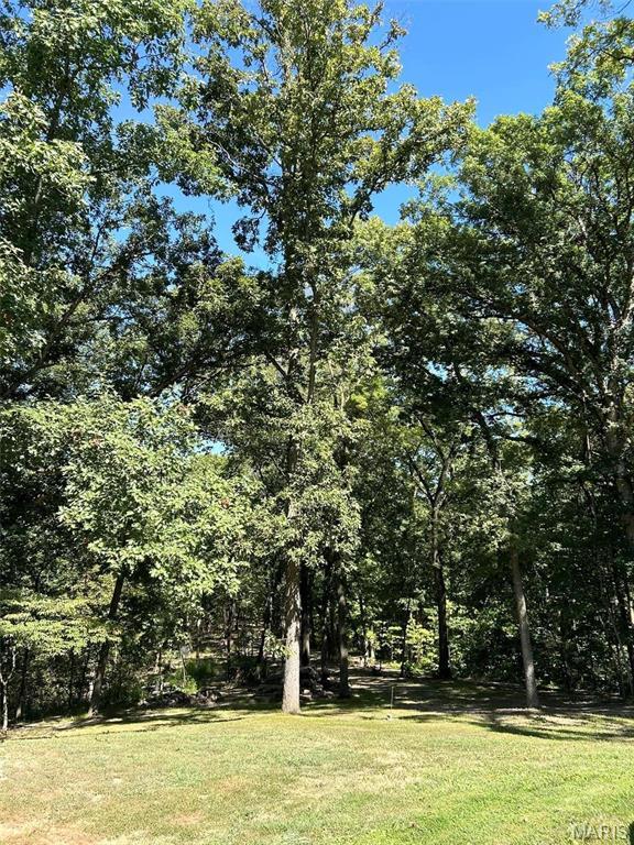 62812 Brown Ests, Hannibal, MO 63401 - view of green lawn