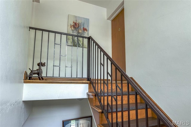 8124 Roxburgh Dr, Saint Louis, MO 63105 - photo 42