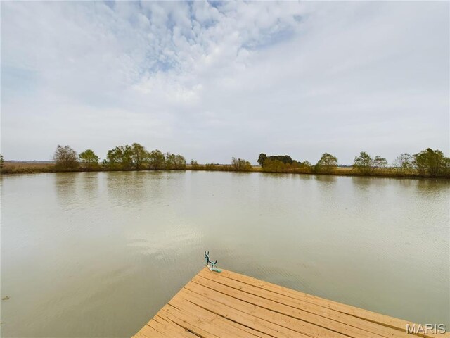 1980 County Road 243, Qulin, MO 63961 - photo 29