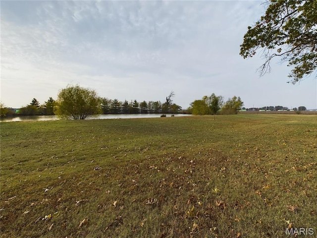 1980 County Road 243, Qulin, MO 63961 - photo 30
