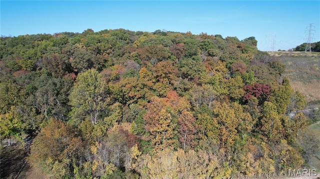 1318 Pond Rd, Glencoe, MO 63038 - photo 1