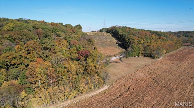 1318 Pond Rd, Glencoe, MO 63038 - photo 2