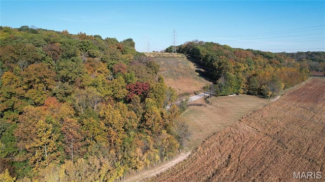 1318 Pond Rd, Glencoe, MO 63038 - photo 8
