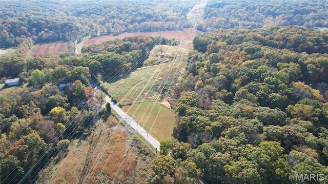 1318 Pond Rd, Glencoe, MO 63038 - photo 9