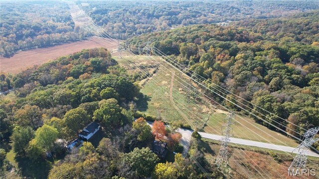 1318 Pond Rd, Glencoe, MO 63038 - photo 10