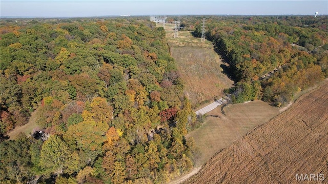 1318 Pond Rd, Glencoe, MO 63038 - photo 11