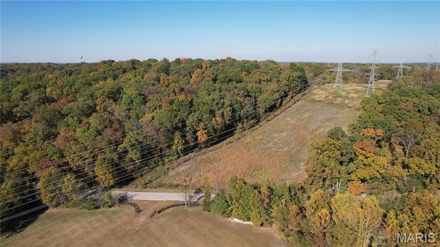 1318 Pond Rd, Glencoe, MO 63038 - photo 12