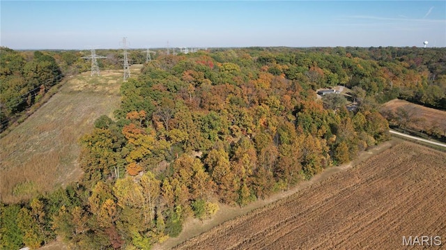 1318 Pond Rd, Glencoe, MO 63038 - photo 13