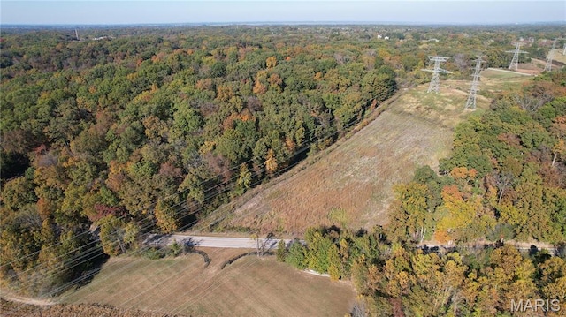1318 Pond Rd, Glencoe, MO 63038 - photo 14