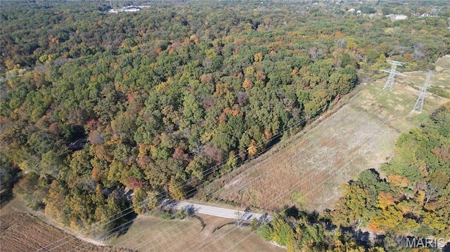 1318 Pond Rd, Glencoe, MO 63038 - photo 16