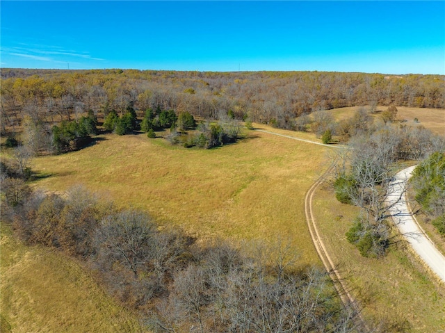 overview of rural landscape with a forest