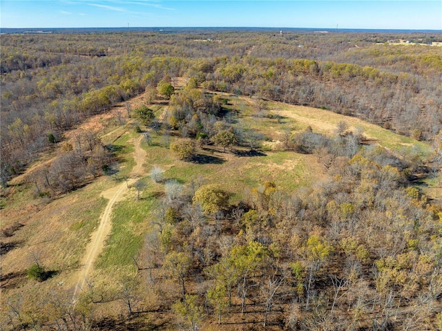 view of property location featuring a heavily wooded area