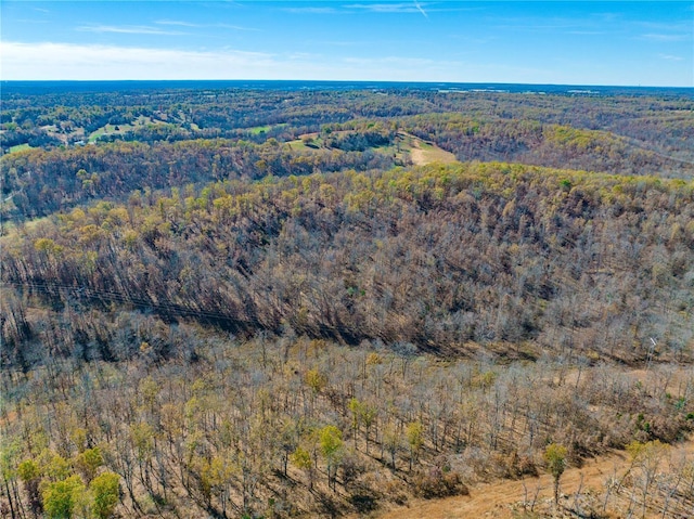 view of property location featuring a heavily wooded area