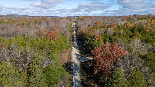 449 Woodsorell Dr, Hillsboro, MO 63050 - photo 7