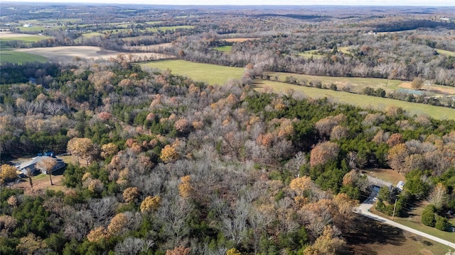 449 Woodsorell Dr, Hillsboro, MO 63050 - photo 12