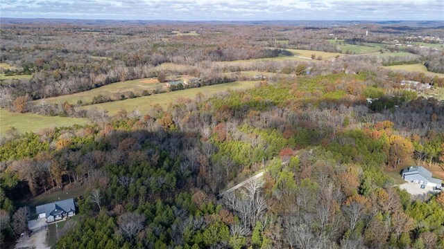 449 Woodsorell Dr, Hillsboro, MO 63050 - photo 13