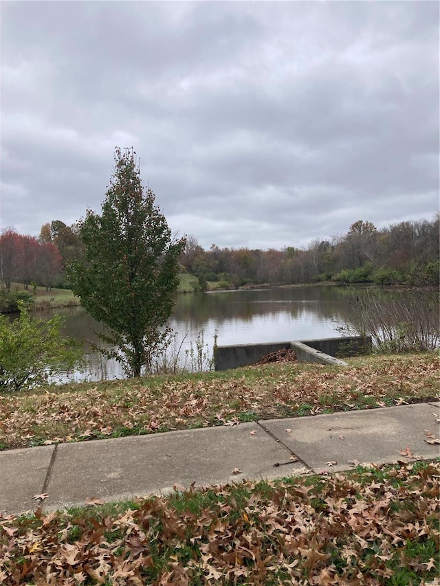 6550 E Dolphin Cir E, Florissant, MO 63033 - water view with a forest