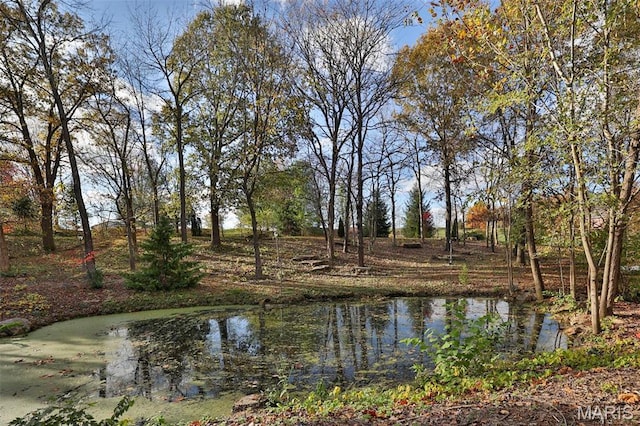 7406 Creek Ridge Ln, Edwardsville, IL 62025 - photo 90