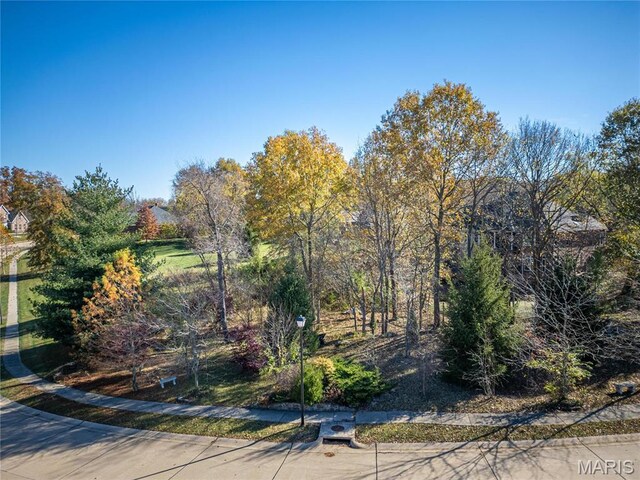 7406 Creek Ridge Ln, Edwardsville, IL 62025 - photo 74