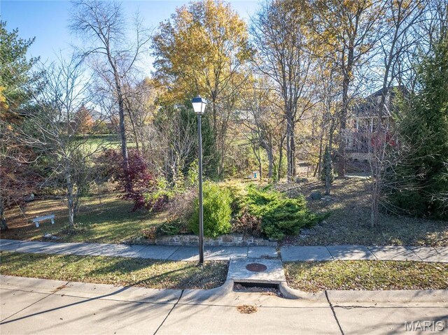 7406 Creek Ridge Ln, Edwardsville, IL 62025 - photo 79