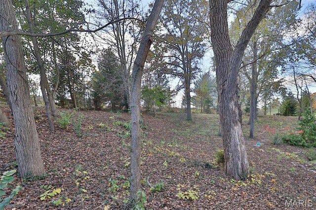 7406 Creek Ridge Ln, Edwardsville, IL 62025 - photo 83