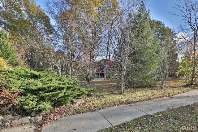 7406 Creek Ridge Ln, Edwardsville, IL 62025 - photo 86