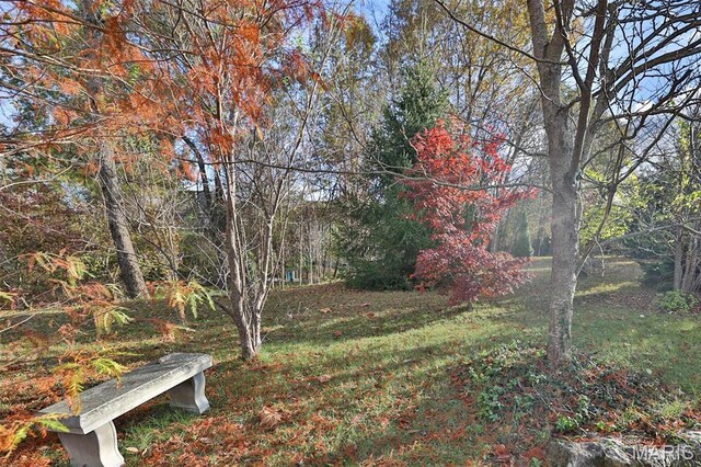 7406 Creek Ridge Ln, Edwardsville, IL 62025 - photo 87