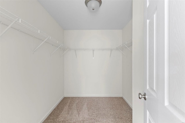 3139 White Pine Dr, Imperial, MO 63052 - walk in closet featuring carpet