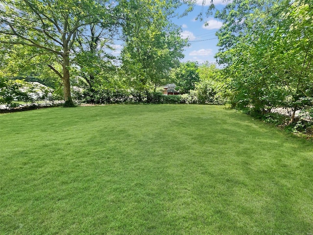 800 NW Capelle St, Grain Valley, MO 64029 - view of green lawn