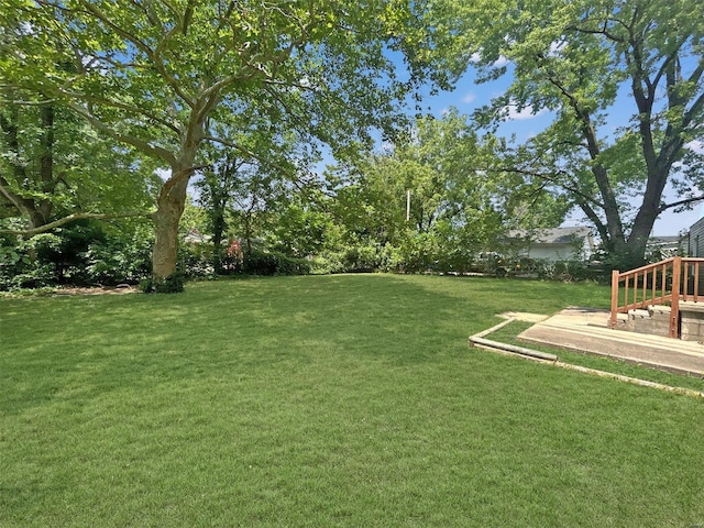 800 NW Capelle St, Grain Valley, MO 64029 - view of grassy yard