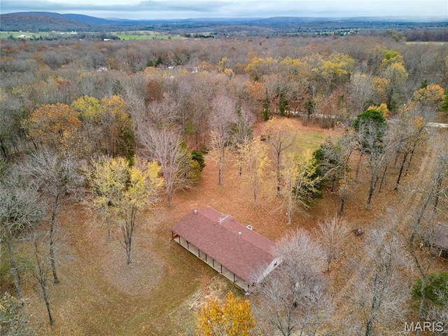 10994 Webster Rd, Caledonia, MO 63631 - aerial overview of property's location with a heavily wooded area