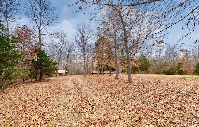 10994 Webster Rd, Caledonia, MO 63631 - view of street