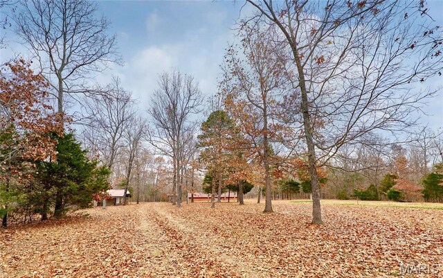 10994 Webster Rd, Caledonia, MO 63631 - view of yard
