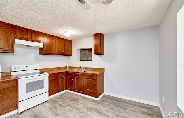 10994 Webster Rd, Caledonia, MO 63631 - kitchen featuring electric stove, under cabinet range hood, light wood finished floors, a textured ceiling, and brown cabinetry