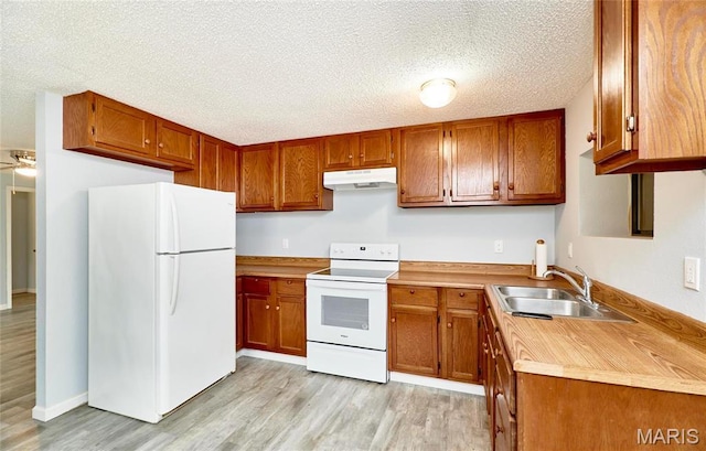 10994 Webster Rd, Caledonia, MO 63631 - kitchen featuring white appliances, under cabinet range hood, light wood finished floors, brown cabinets, and light countertops