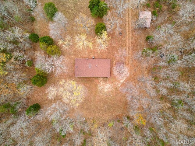 10994 Webster Rd, Caledonia, MO 63631 - bird's eye view