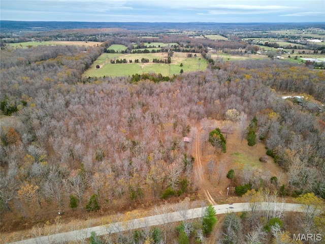 10994 Webster Rd, Caledonia, MO 63631 - view of property location featuring a heavily wooded area and rural landscape