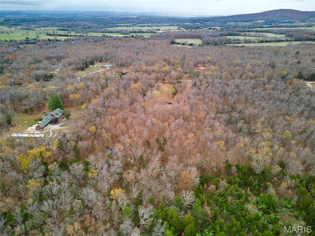10994 Webster Rd, Caledonia, MO 63631 - aerial view of property's location featuring a forest