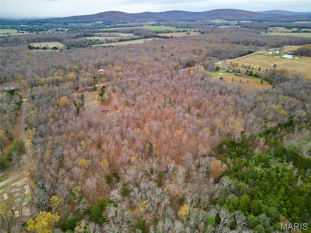 10994 Webster Rd, Caledonia, MO 63631 - aerial overview of property's location with mountains