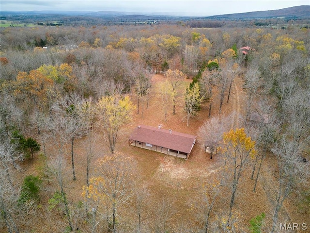 10994 Webster Rd, Caledonia, MO 63631 - aerial view of property and surrounding area with a forest