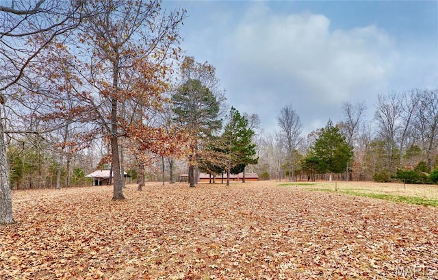 10994 Webster Rd, Caledonia, MO 63631 - view of yard
