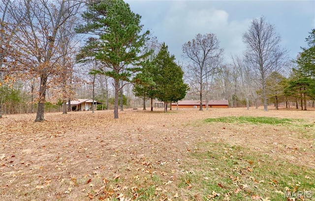 10994 Webster Rd, Caledonia, MO 63631 - view of yard