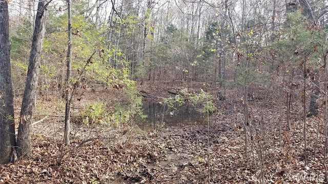 10994 Webster Rd, Caledonia, MO 63631 - view of wooded area