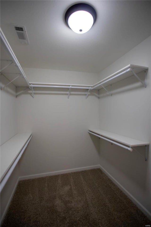 walk in closet with carpet